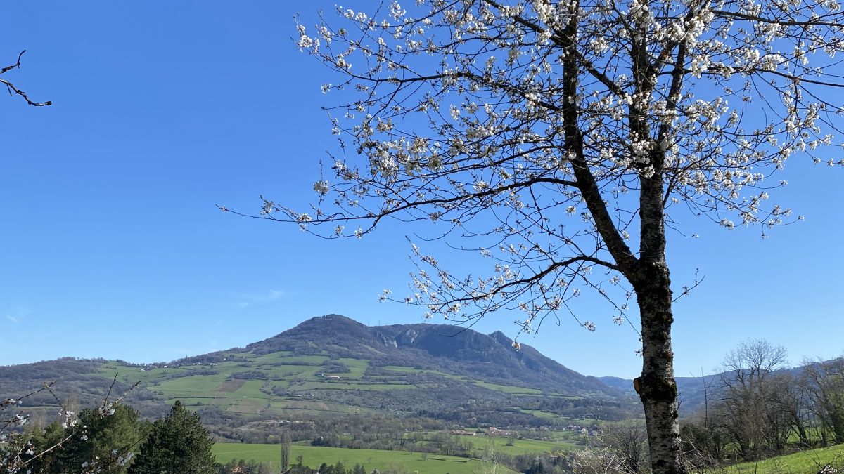 Le Mont Poupet : le héros incontournable de la Montée du Poupet depuis 1985